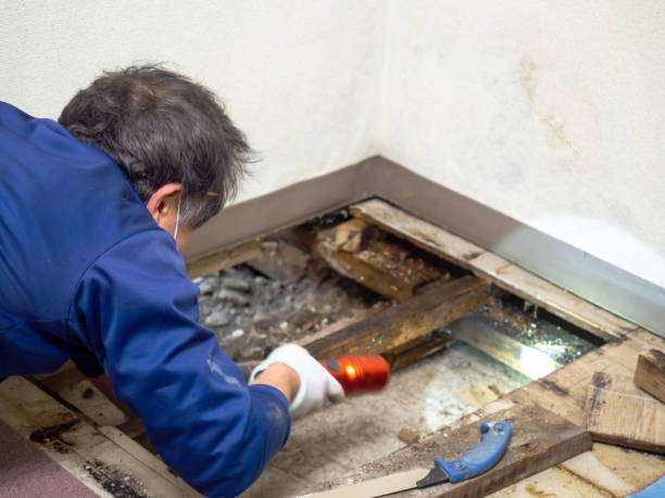 Water Damage Restoration in Lincoln Village, CA
