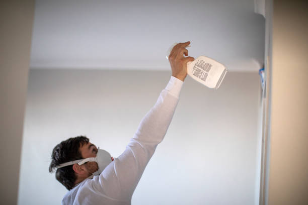 Best Mold Damage Repair  in Lincoln Village, CA
