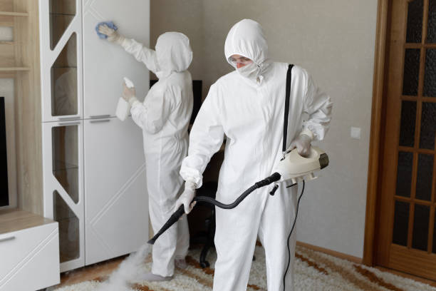 Best Mold Removal Process  in Lincoln Village, CA