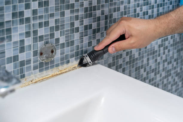 Best Residential Mold Removal  in Lincoln Village, CA
