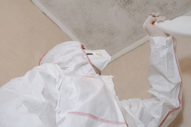 Best Certified Mold Removal  in Lincoln Village, CA