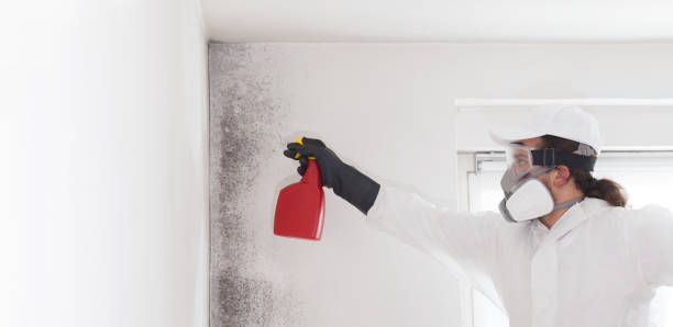 Best Emergency Mold Removal  in Lincoln Village, CA