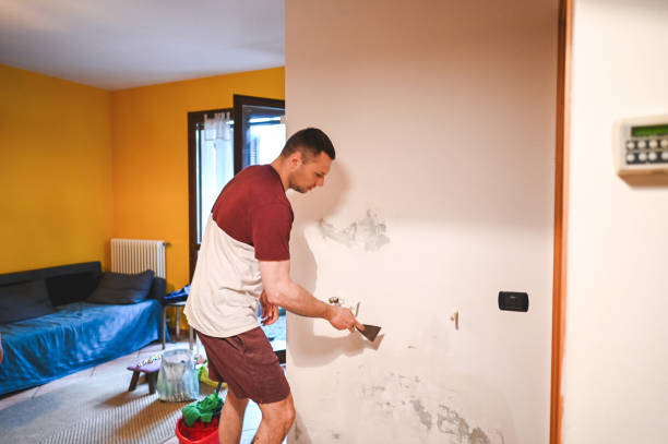 Best Toxic Mold Removal  in Lincoln Village, CA